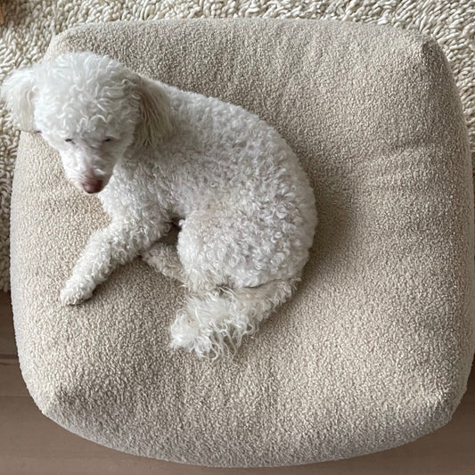 Kleiner weißer Hund auf dem Poufet Pouf in Bouclé Beige – Größe S, Premium Hundebett, Poufet Manufaktur
