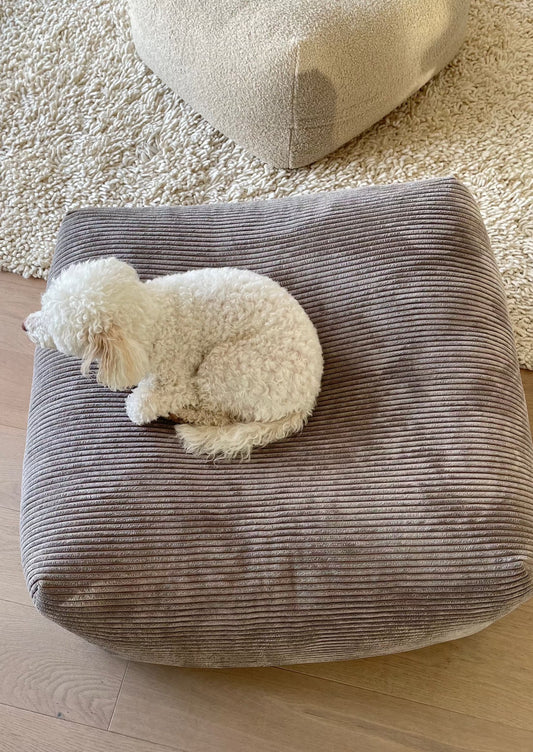 Kleiner weißer Hund liegt auf dem Poufet Pouf Hundebett in Breitcord Taupe – kuschelige Mulde, handgemacht in Deutschland