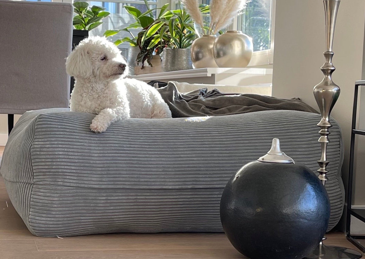 Poufet Pouf Breitcord Hellgrau im Zimmer – Hundebett handgemacht in Deutschland
