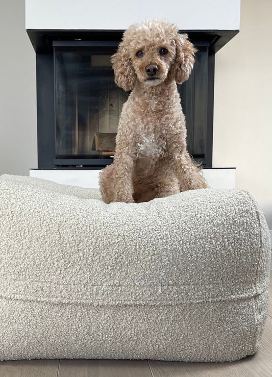 Goldener Hund sitzt auf dem Poufet Pouf Hundebett in Premium Bouclé Beige – gemütliches Wohnzimmer-Setting, Poufet
