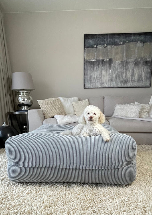 Hund liegt auf Poufet Pouf Breitcord Hellgrau im Wohnzimmer – orthopädisches Hundebett handgemacht in Deutschland
